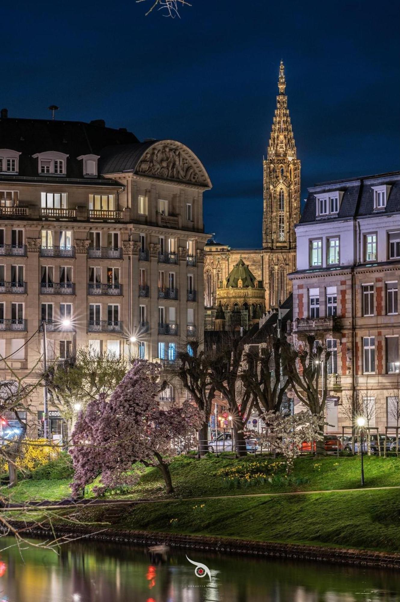 Appart & Studio Hyper Centre De Strasbourg - Proche Cathedrale & Petite France Estrasburgo Exterior foto