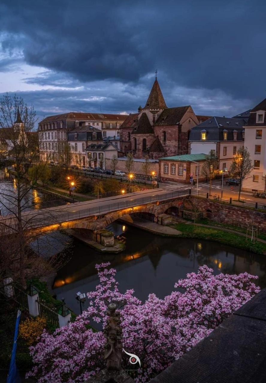 Appart & Studio Hyper Centre De Strasbourg - Proche Cathedrale & Petite France Estrasburgo Exterior foto